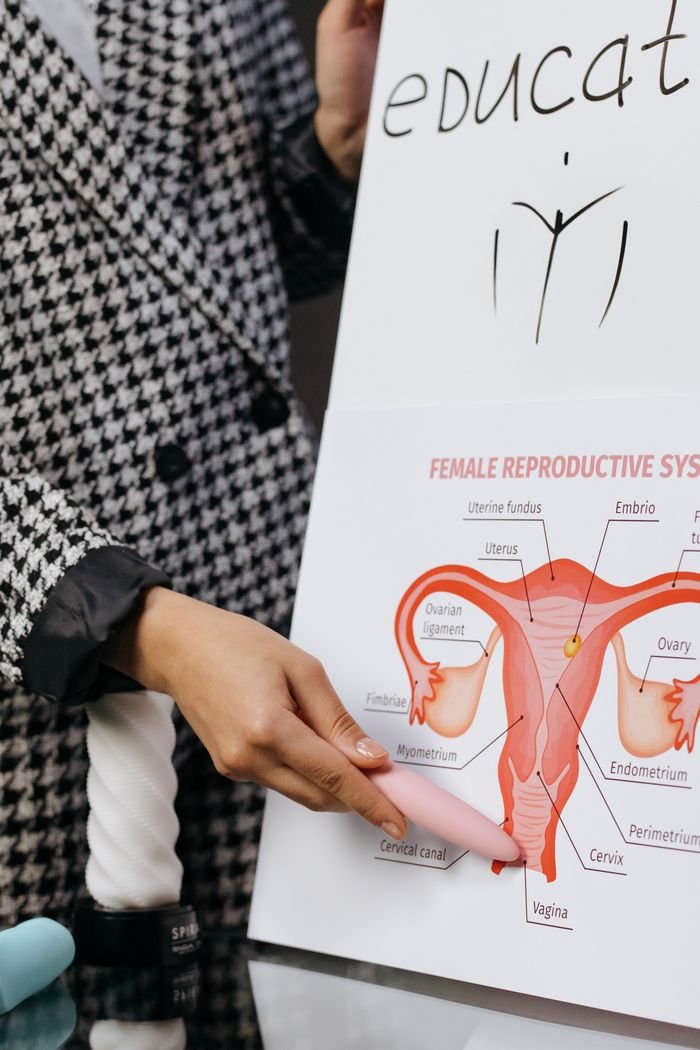 Mastering the First Impression: Your intriguing post title goes here A person presents a detailed diagram of the female reproductive system on a whiteboard.